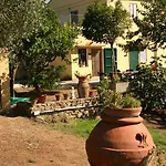 Greppo All'olivo