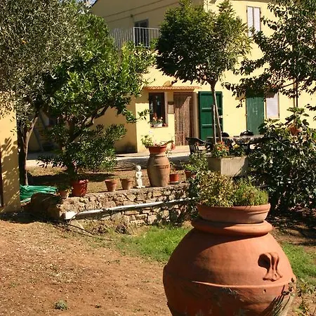 Agriturismo Greppo All'olivo
