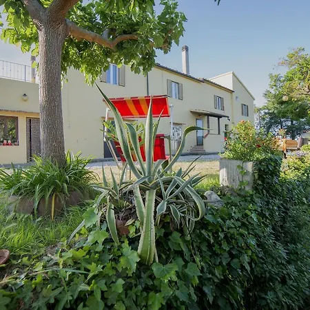 Agriturismo Greppo All'olivo Farm stay *