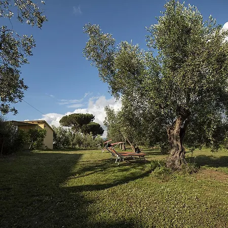Farm stay Agriturismo Greppo All'olivo Donoratico