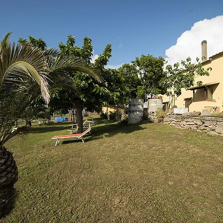 Greppo All'olivo Farm stay