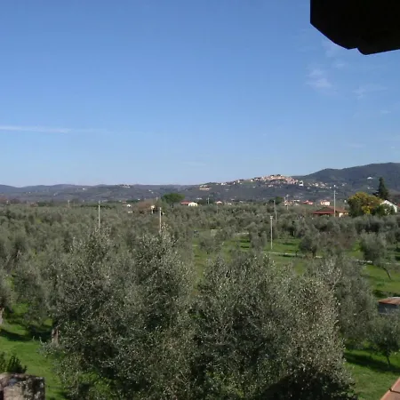 Farm stay Greppo All'olivo Donoratico