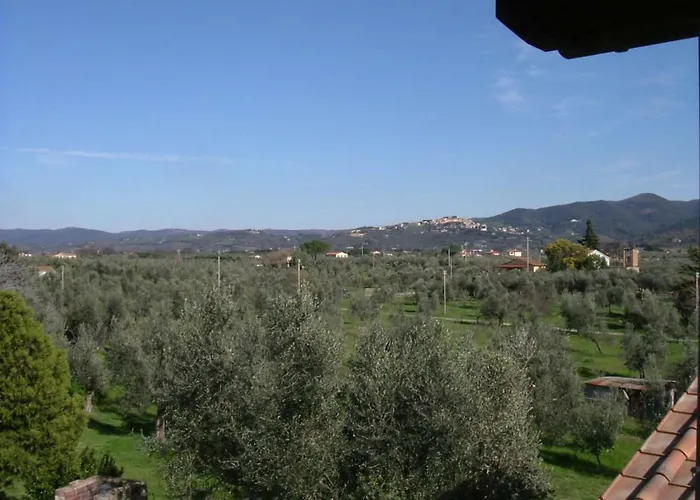 Farm stay Greppo All'olivo Donoratico